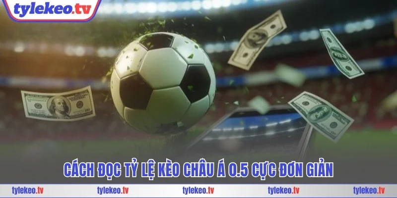 Cách đọc tỷ lệ kèo châu Á 0.5 cực đơn giản